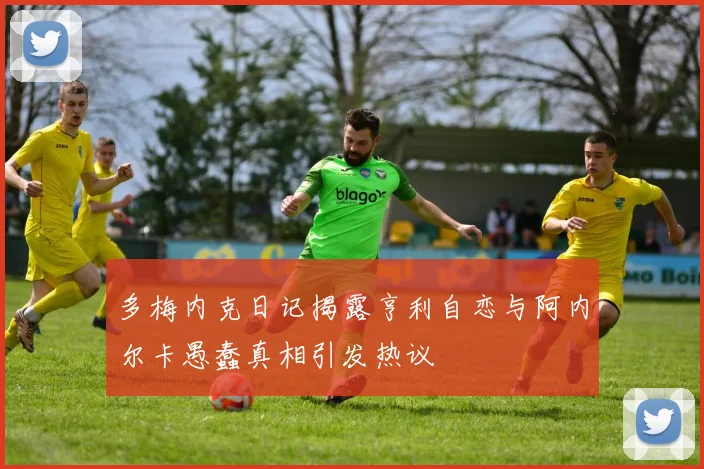 多梅内克日记揭露亨利自恋与阿内尔卡愚蠢真相引发热议